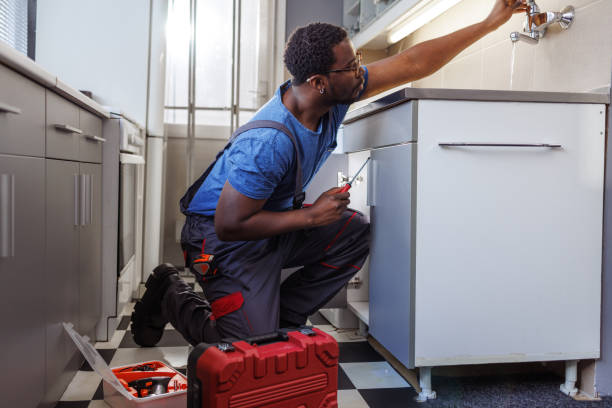 Best Clogged Drain Plumber  in South St Paul, MN